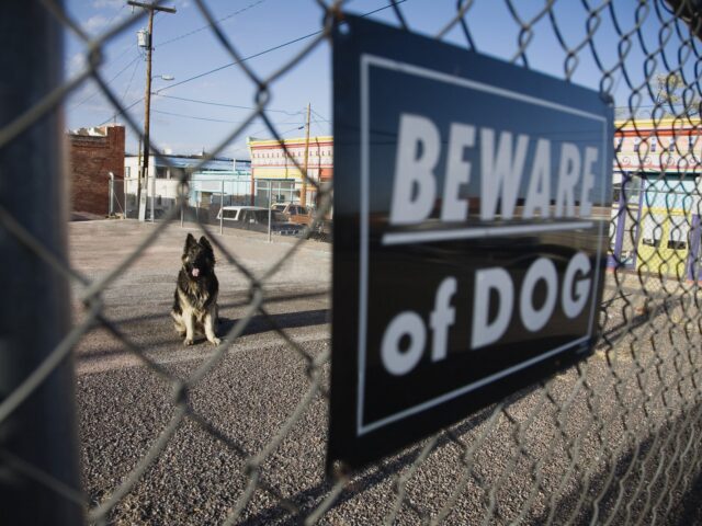 West Hartford Passes Townwide Leash Law